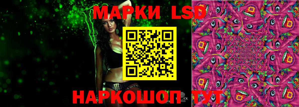 blacksprut tor  ЛСД экстази ecstasy  Вход с VPN  Гатчина 