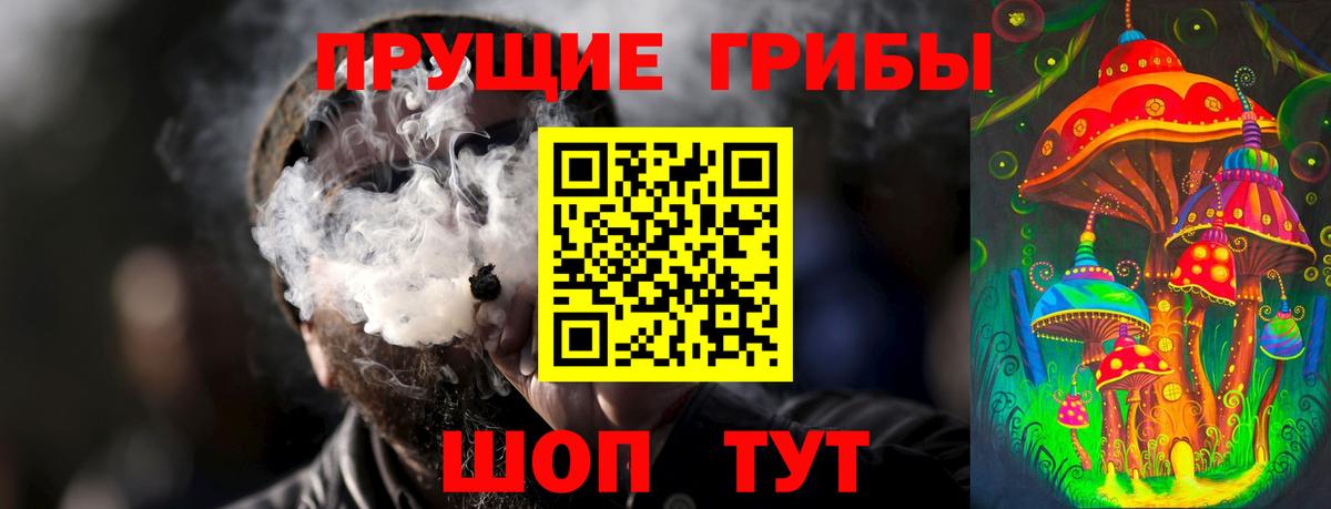 Гатчина  Галлюциногенные грибы ЛСД  Галлюциногенные грибы MAGIC MUSHROOMS  Вход с VPN 